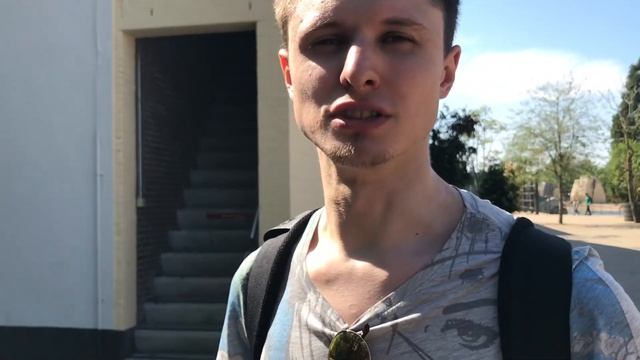 Амстердамский зоопарк с пояснениями экспертов смотреть онлайн