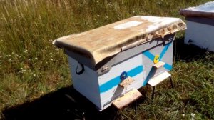 ВЕРХНИЙ ЛЕТОК в улье. Зачем его закрывать и когда??? подготовка пчёл к зимовке