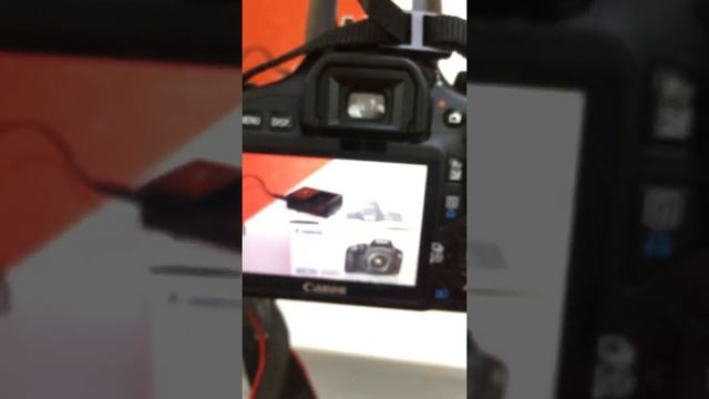 Зеркальный фотоаппарат 550D смотреть онлайн