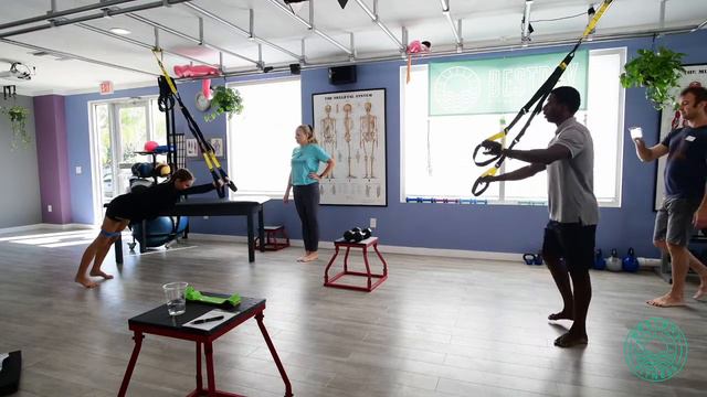 Upper Body Progressions- Dr. Tonya Olson- BEST Method Master Certification- Module 2 смотреть онлайн