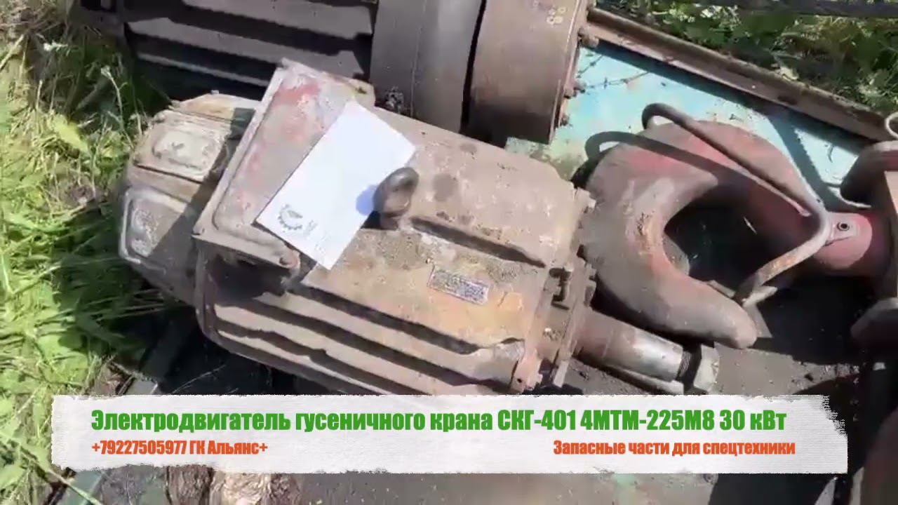 Электродвигатель гусеничного крана СКГ-401 4MTM 225M8 30 кВт смотреть онлайн