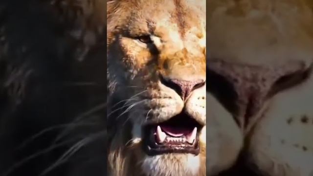 Lion Tattoo ???? with pen. #viral #trending #video #shorts #lion #tattoo #art смотреть онлайн