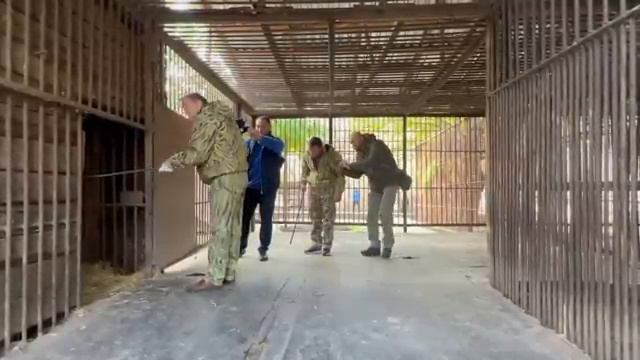 Мы в ХЕРСОНЕ! Стрелять в волков приходится с ОДНОГО МЕТРА! смотреть онлайн