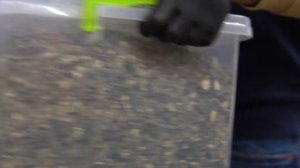 Тыквенное масло: полезные свойства и как принимать | Shanta Food