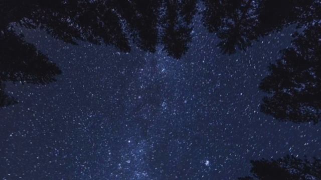 ЗВУКИ СВЕРЧКОВ, НОЧИ, ЛЕСА, ЛЯГУШЕК. Relaxing To The Sound Of Crickets, Night, Forest, Frogs. смотреть онлайн