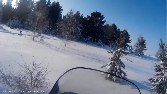 Красота редких лесов Казахстана смотреть онлайн