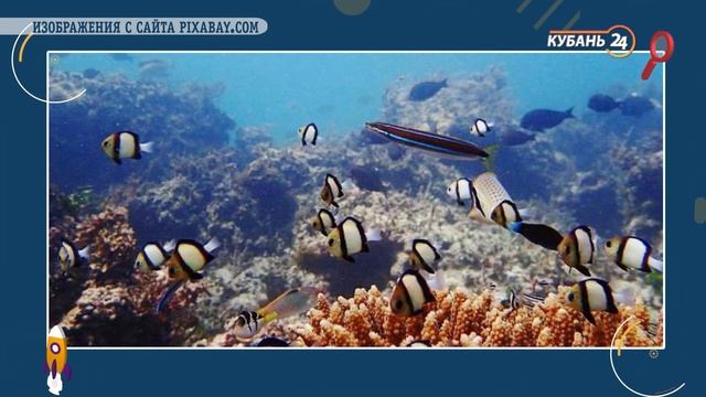 Этот Огромный Мир 60 смотреть онлайн