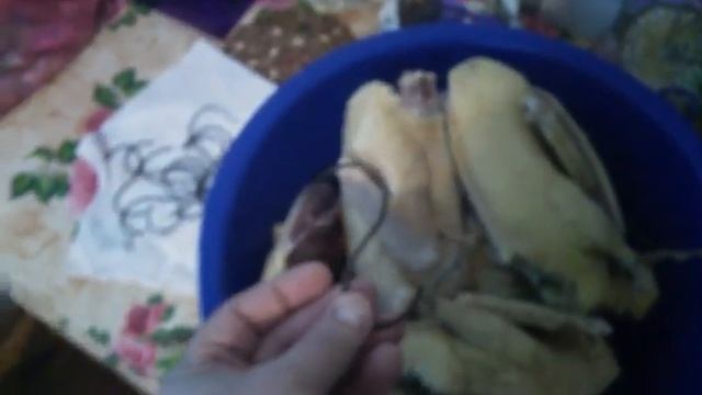 Холодное копчение ,как это делаю я. смотреть онлайн