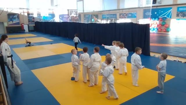 Тренировка младшей группы дзюдо 03.12.2022 (11:15) смотреть онлайн