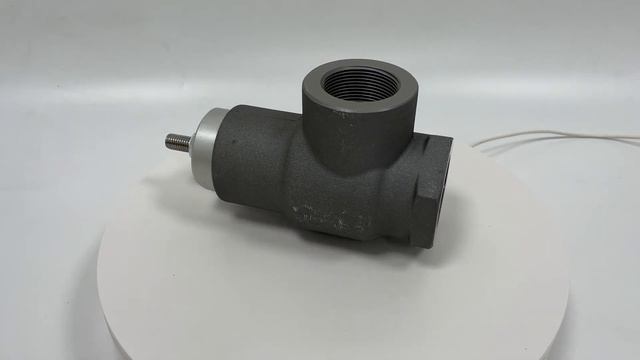 Клапан минимального давления G46 1 1/2" 220.2300 смотреть онлайн