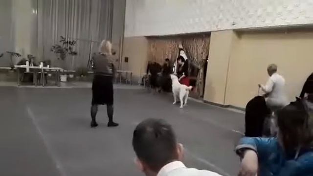 Гордость России. смотреть онлайн