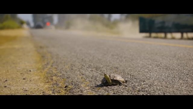 Tones And I - Dance Monkey - SONIC 2 THE HEDGEHOG (OFFICIAL) смотреть онлайн