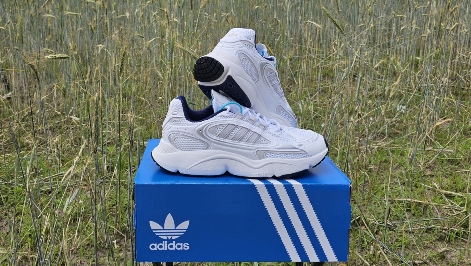 Обзор Adidas Originals Ozmillen - отличные кроссовки на жаркое лето смотреть онлайн