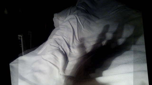 сноведение