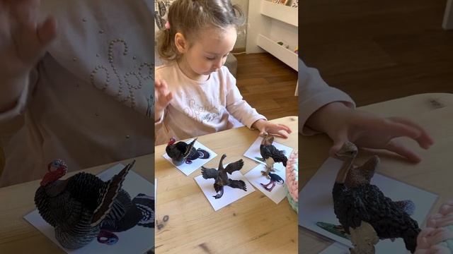 Яся на занятиях в монтессори классе 2,1 смотреть онлайн