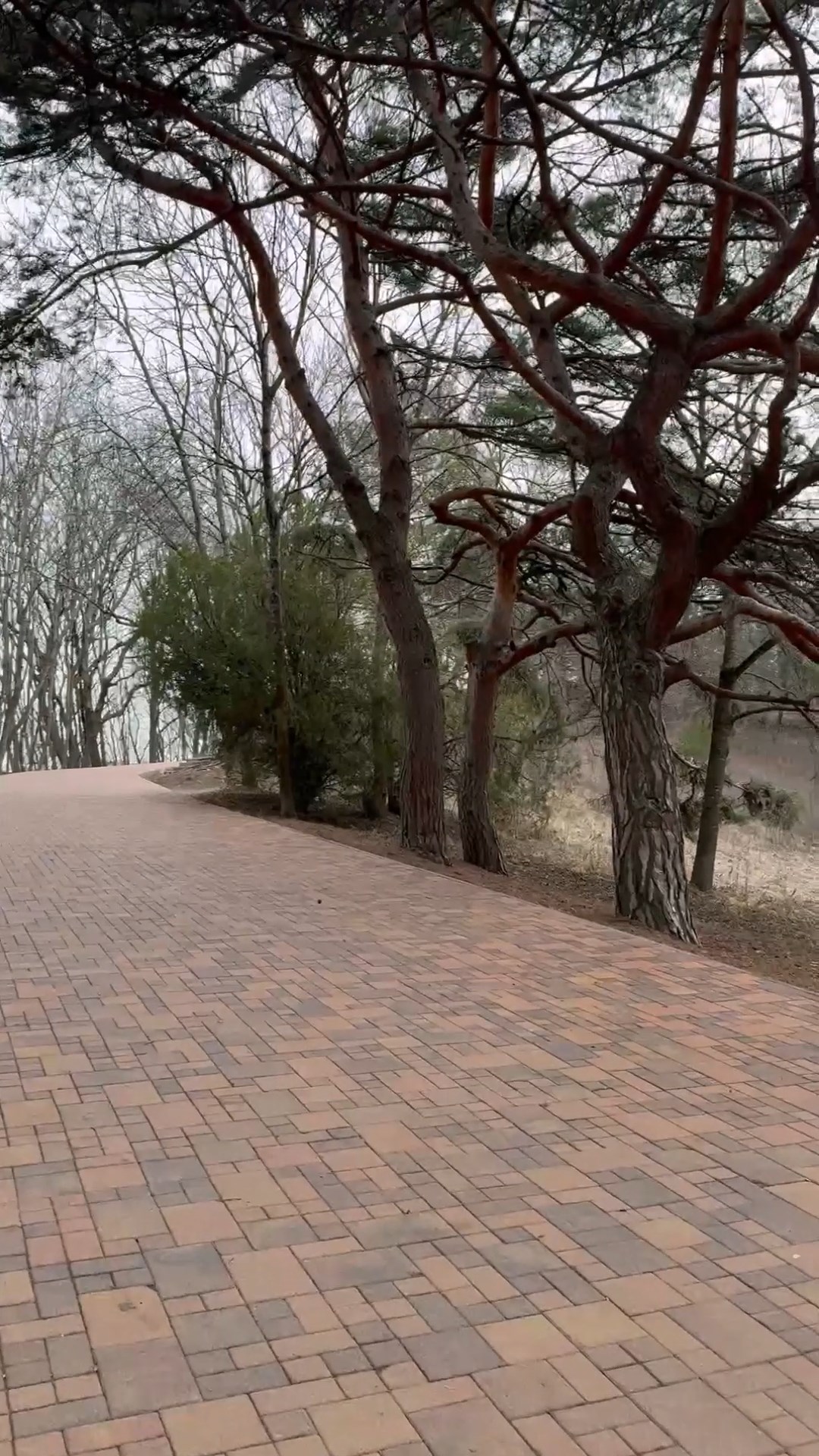 Кто здесь? Здесь белки - любимицы Кисловодского парка.