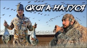 Весенняя охота на гуся | Тысячи гуся в Омской области | Открытие охоты в южных районах
