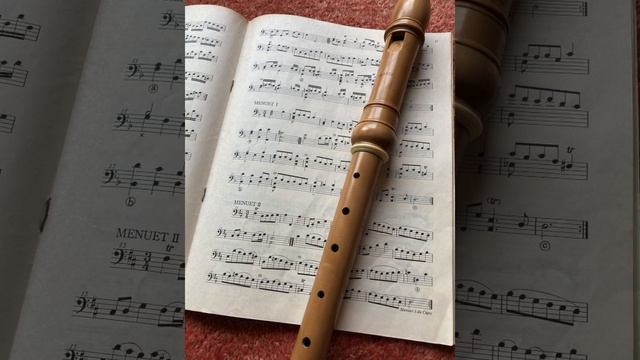Bach, BWV 1008, (5) Menuet смотреть онлайн