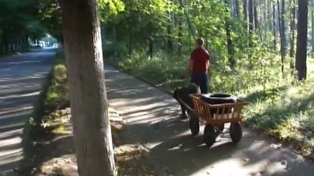 Прогулка War Bouviator Hit Alivet Tattu`s Sammuel.avi смотреть онлайн