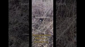 Боевики украинских формирований осматривают штатно отработавший универсальный модуль планирования и