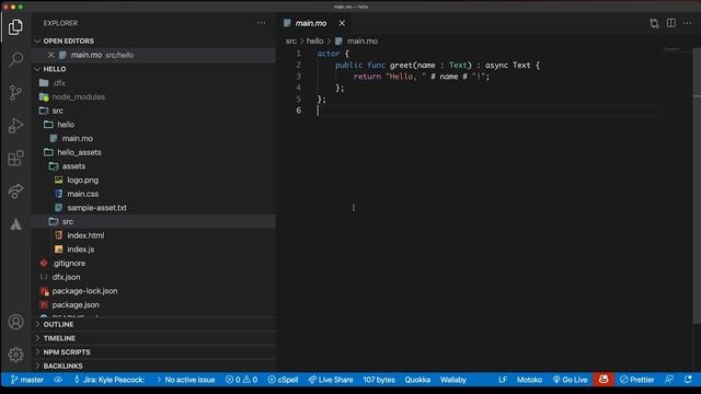 Coding with Kyle | IC Avatar, Episode #1: Hello, World смотреть онлайн