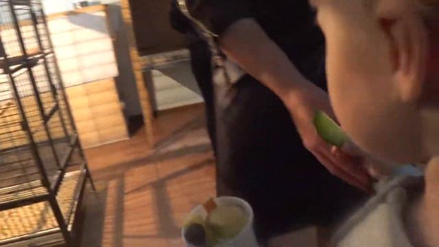 [ТЧ] Поездка В Зоопарк "Планета Обезьян И Попугаев" #5 смотреть онлайн