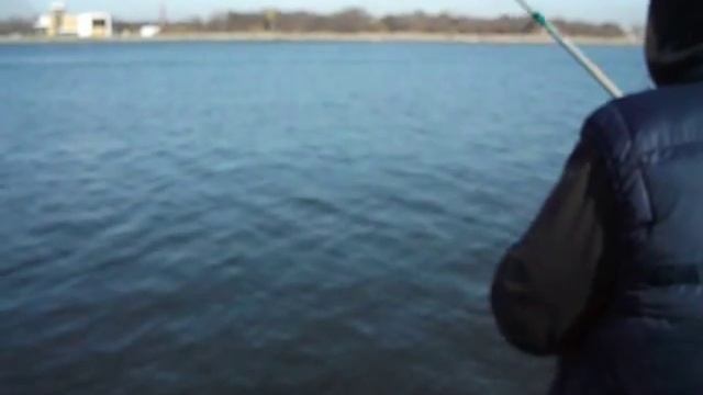 Ловля салаки в Балтийске смотреть онлайн
