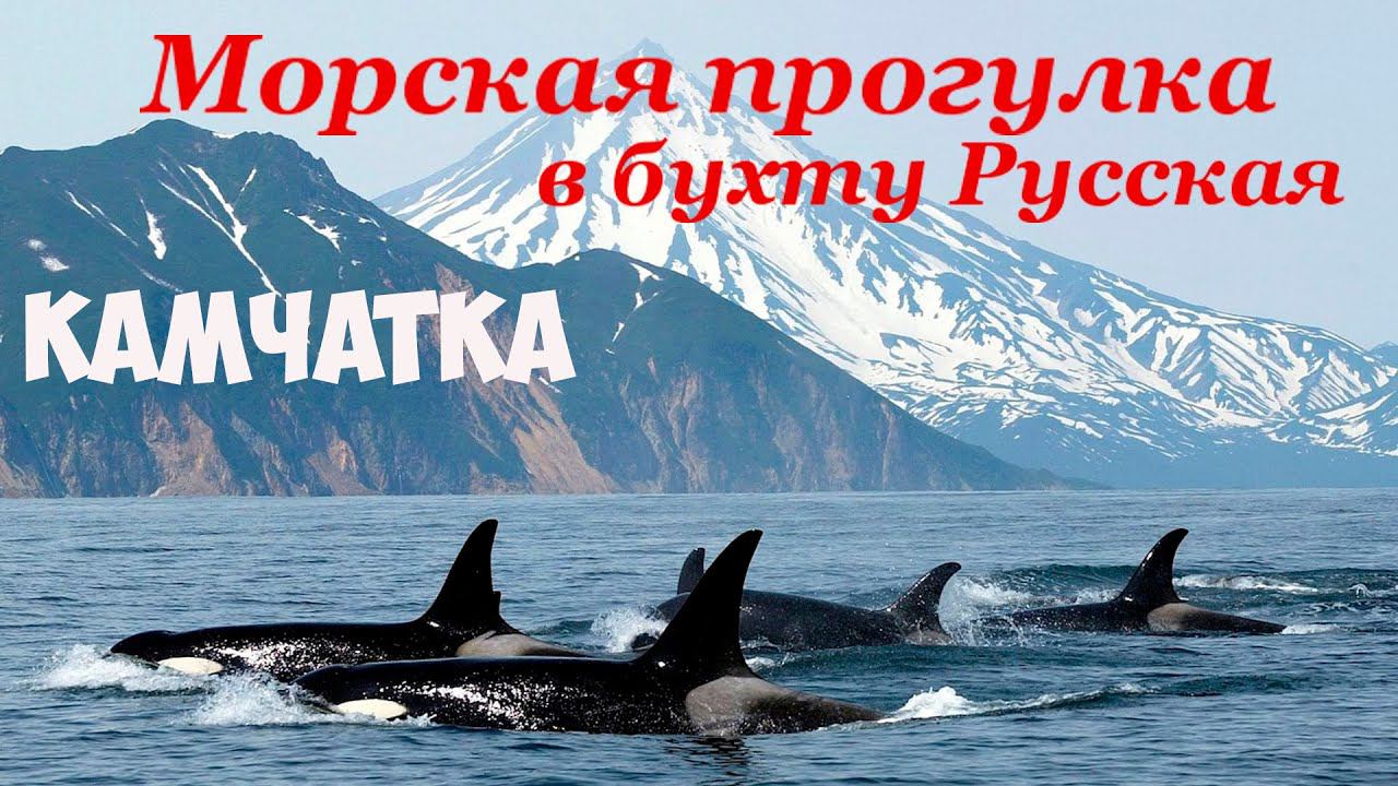 Морская прогулка в бухту Русская Камчатка смотреть онлайн