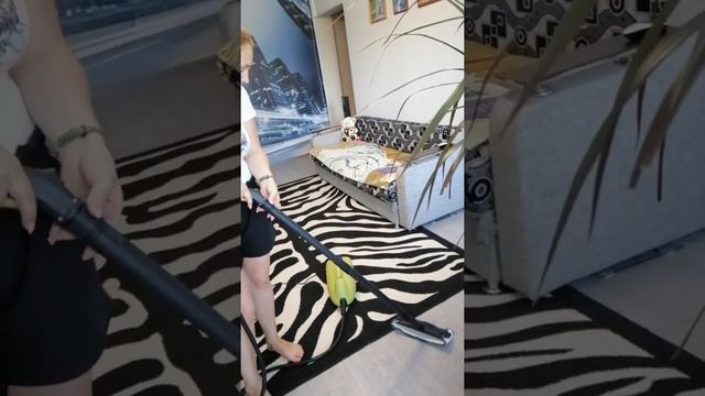 Обзор пароочистителя Kitfort KT-951 смотреть онлайн