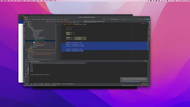 Java Object Comparison Part 2 primitive object boxing unboxing смотреть онлайн