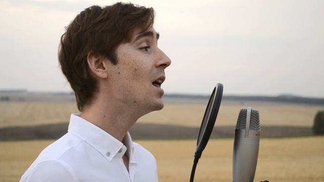 Илнар Шәрәфетдинов - Назлы гөлкәем (Баян) смотреть онлайн