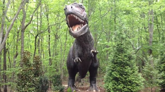 NC Zoo Dinosaur Exhibit смотреть онлайн