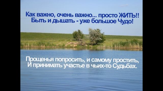 Спасибо ... ЖИЗНЬ! смотреть онлайн