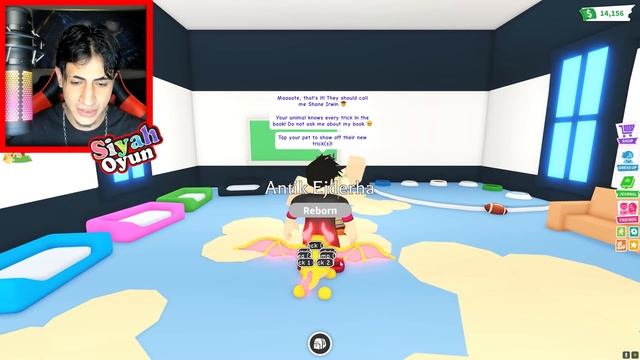 NEON ANCIENT DRAGON TRADE ? Frost Dragon Verdi ( Roblox Adopt Me ) смотреть онлайн
