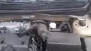 KIA RIO неисправность стартера