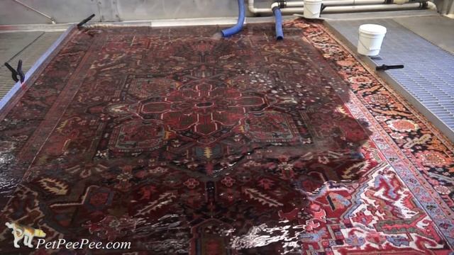 Who to trust? -oriental rug cleaning смотреть онлайн