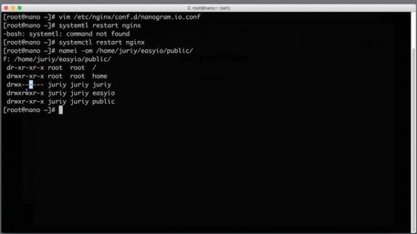 Serving static files with NGINX