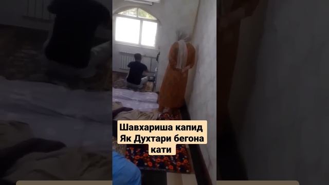 Да болой Зино капид Шавхарша ба Дига Зан кати смотреть онлайн