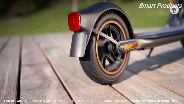 The Best Electric Scooters To Buy In (2023)