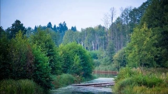 Презентация № 1 движения "Наши" Беларусь смотреть онлайн