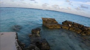 Часть #4 Мы на Мальдивах! Royal island resort & spa сегодня мы обойдём для Вас вокруг всего острова