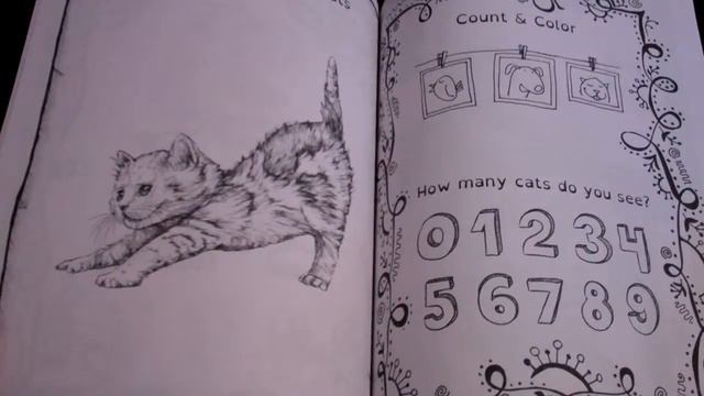 Dyslexia Games (The Thinking Tree) - Ages 3 to 5 Kitty Doodle Math смотреть онлайн