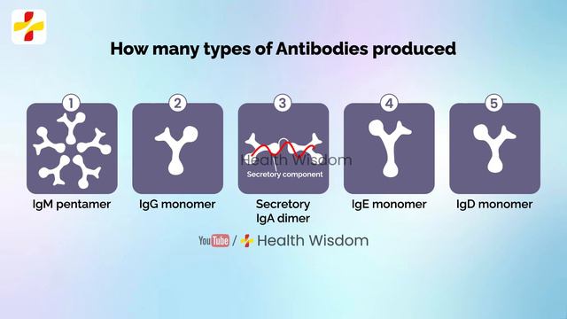 Are You Immune Hepatitis B? Part1 | Hepatitis B Australia Antigen | Chronic Hepatitis B смотреть онлайн