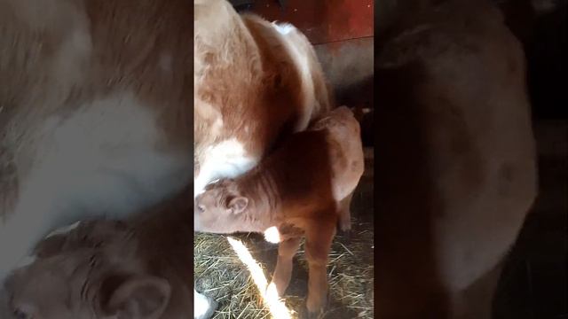 24 февраля 2024 г. смотреть онлайн