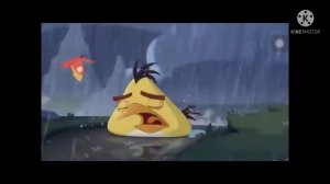 Angry Birds Toons Chuck Crying