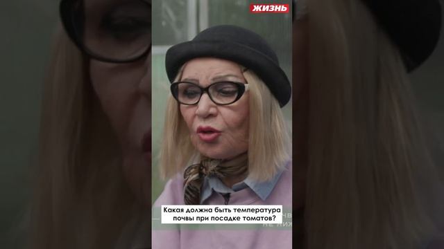Какая должна быть температура почвы при посадке томатов￼ смотреть онлайн