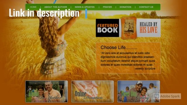I will design and develop responsive wordpress website смотреть онлайн