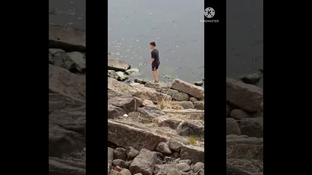 Форд у Финского залива. смотреть онлайн