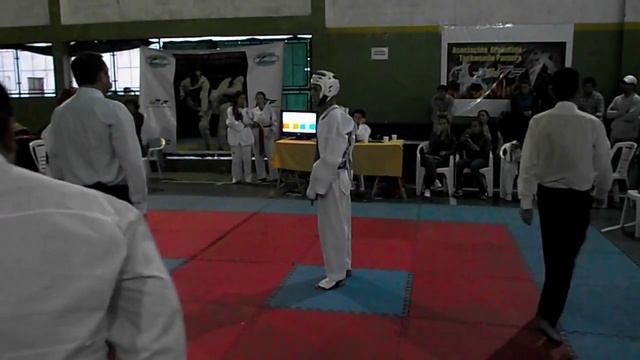 torneo taekwondo (WTF) 1 de mayo смотреть онлайн