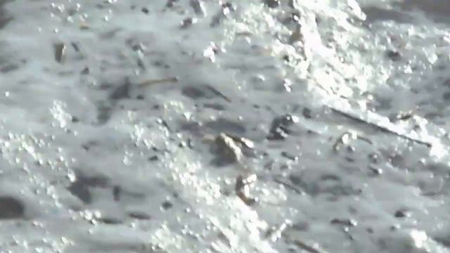 дивноморск 20.07.2016 смотреть онлайн